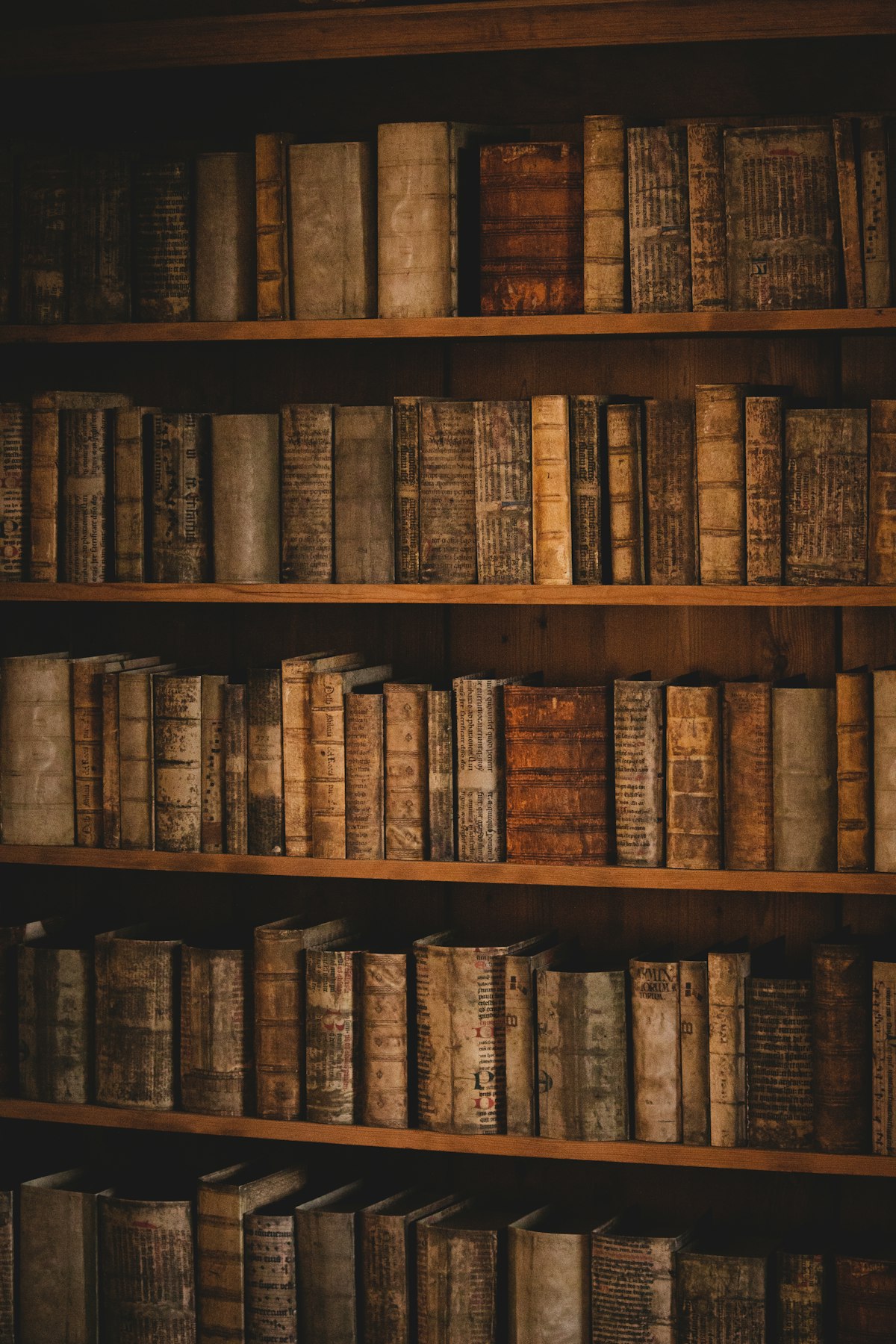 Twelve journals, and every book she ever loved